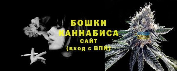 хмурый Касимов