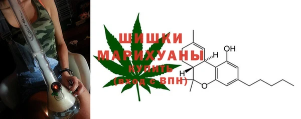 apvp Карпинск