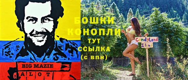 хмурый Касимов
