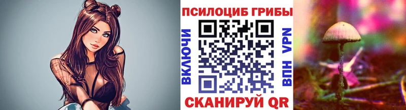 Купить закладки  Уржум  Галлюциногенные грибы Cubensis 